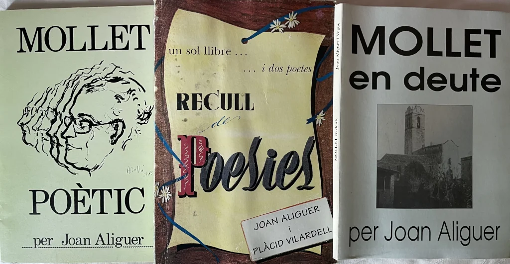 Recull Llibres Joan Aliguer